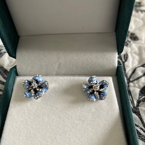 Cute blue earrings